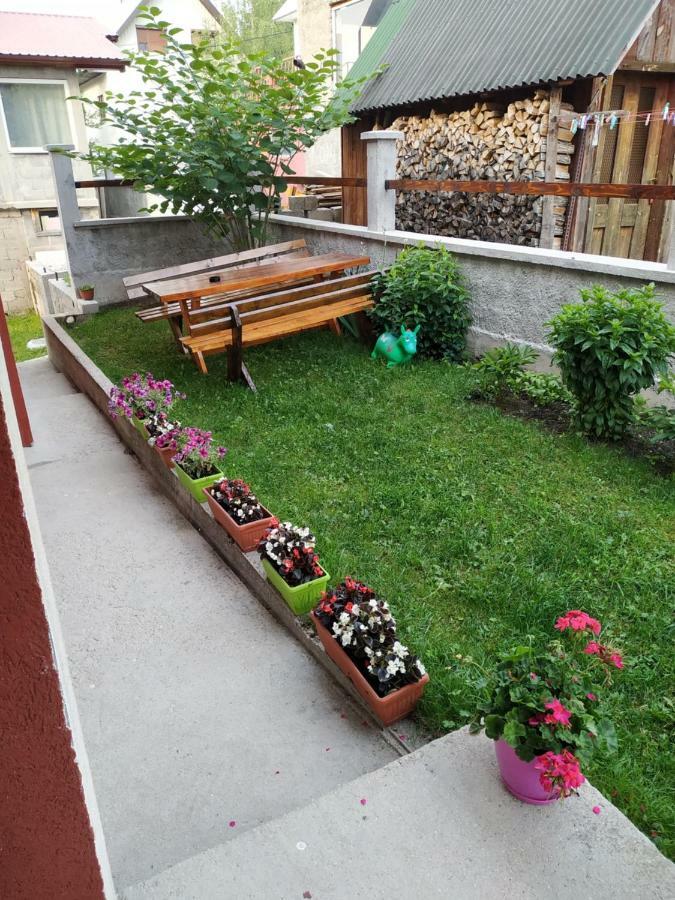 Apartments Bozovic Žabljak Exteriér fotografie