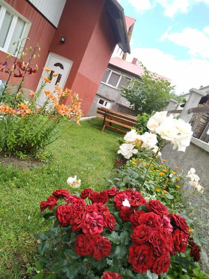 Apartments Bozovic Žabljak Exteriér fotografie