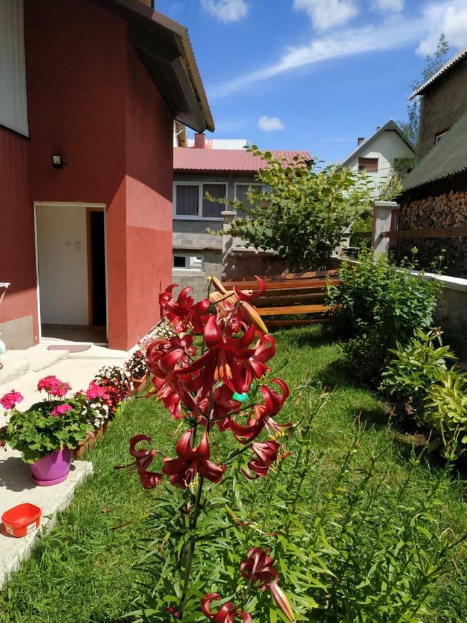 Apartments Bozovic Žabljak Exteriér fotografie